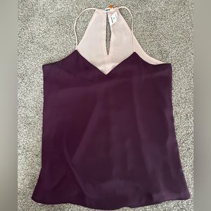 Express Small Plum Blouse